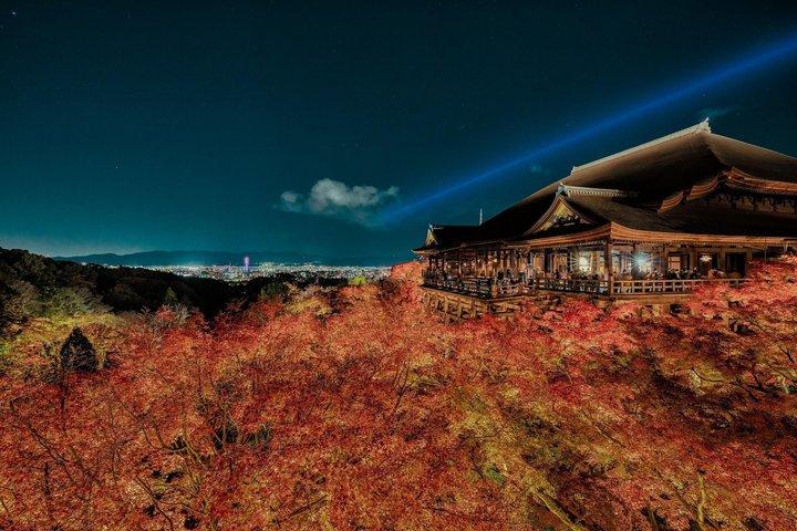 京都 清水寺 ガイド付きウォーキングツアー（チケット付き）