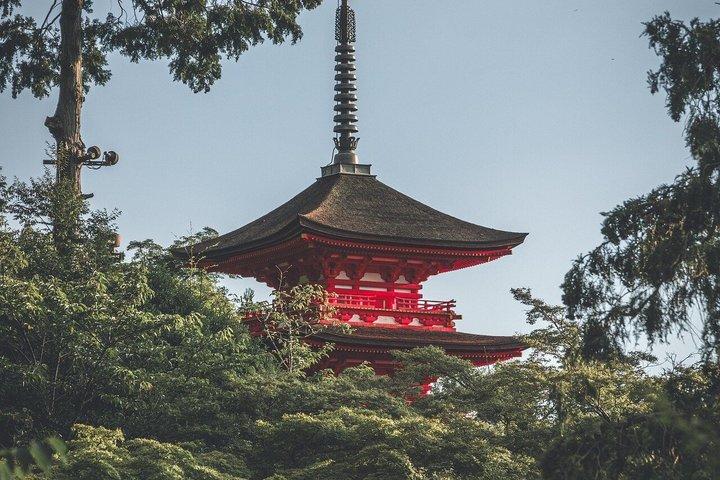 京都 清水寺 ガイド付きウォーキングツアー（チケット付き）