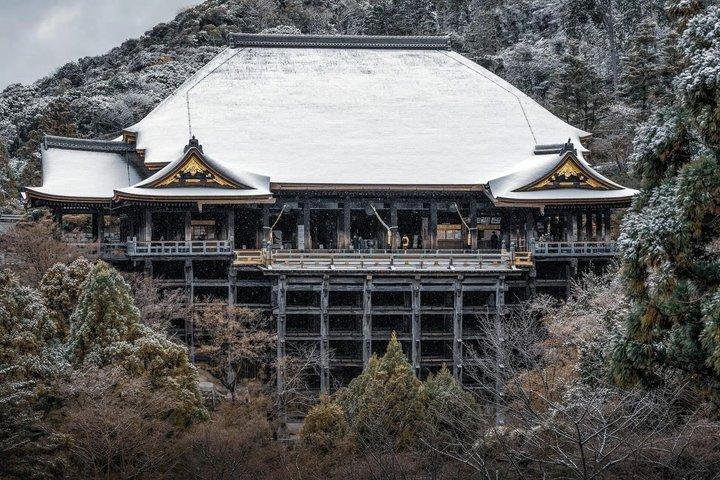 京都 清水寺 ガイド付きウォーキングツアー（チケット付き）
