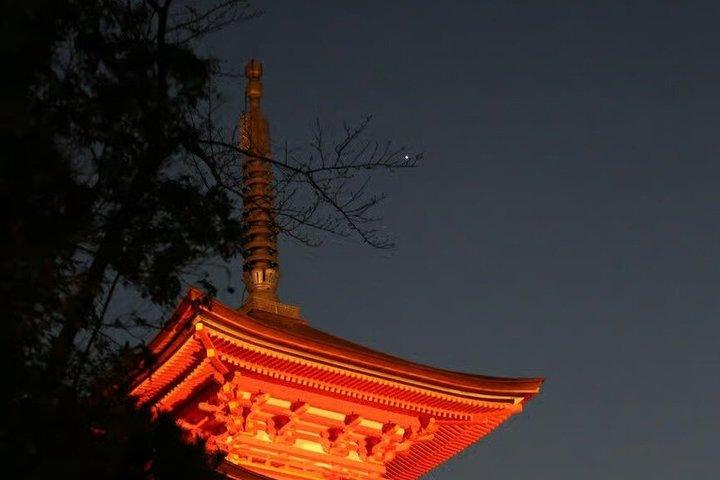 京都 清水寺 ガイド付きウォーキングツアー（チケット付き）