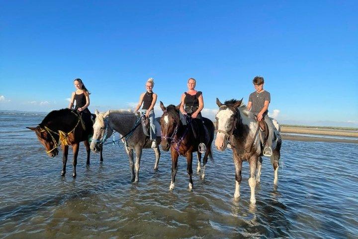 Beginner Horse Riding Experience on the Beach in Durrës