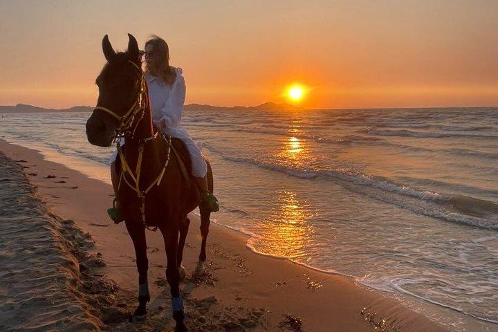 Beginner Horse Riding Experience on the Beach in Durrës