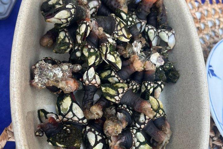Casual & Delicious Gastronomic Journey Through Portugal - 5 Days