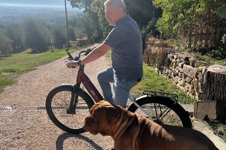 カンナラ(PG)での電動自転車レンタルとエキストラバージンオリーブオイルの試飲体験