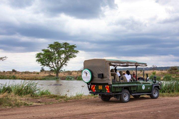 Halvdagstur i Nairobi Nationalpark; Gratis Wi-Fi-forbindelse