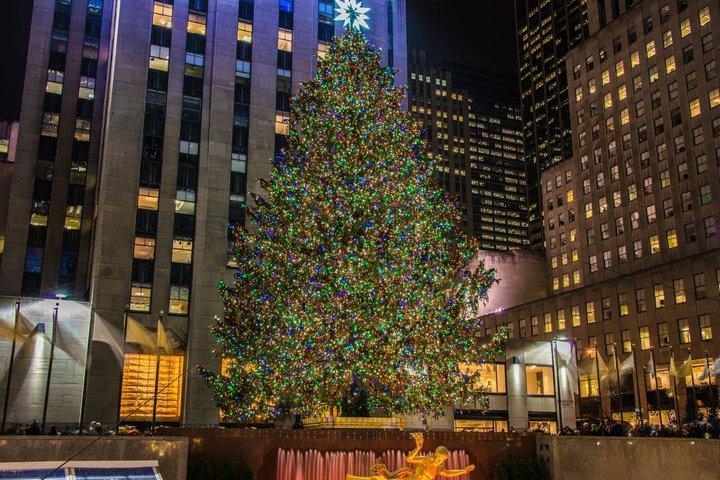 ニューヨークミッドタウンとセントラルパークでのクリスマスバイクツアー