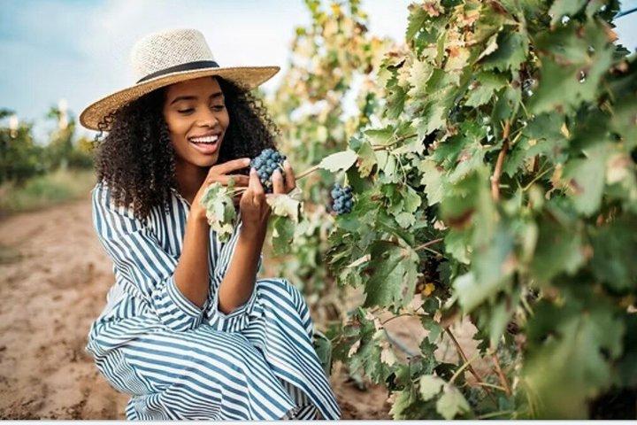 North Texas Black Food Wine AdvenTOUR