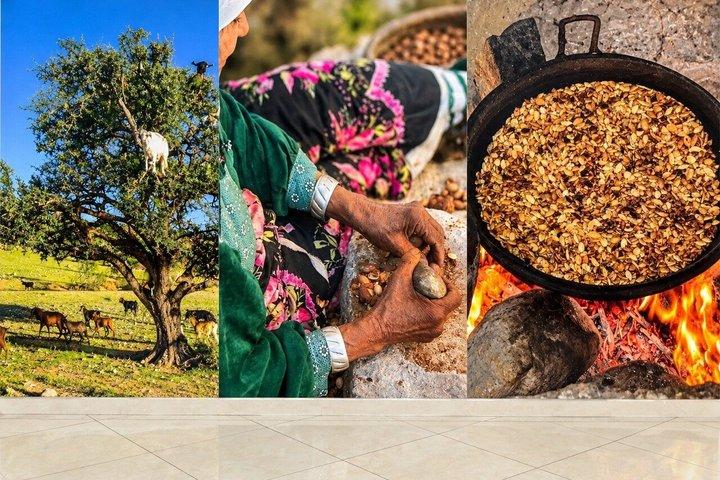 • Ultimate Agadir Tour: Kasbah, Souk & Cultural Highlights