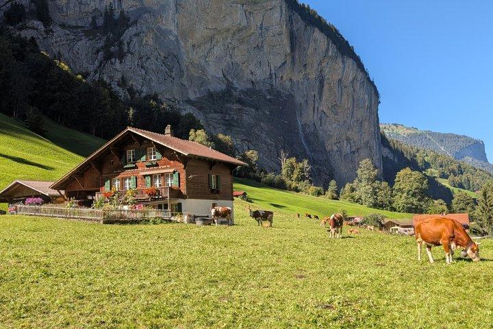 インターラーケン発:スイスピクニック付きラウターブルン渓谷サイクリングツアー