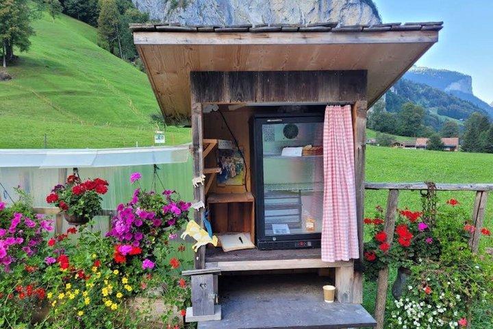 インターラーケン発：スイスピクニック付きラウターブルン渓谷サイクリングツアー