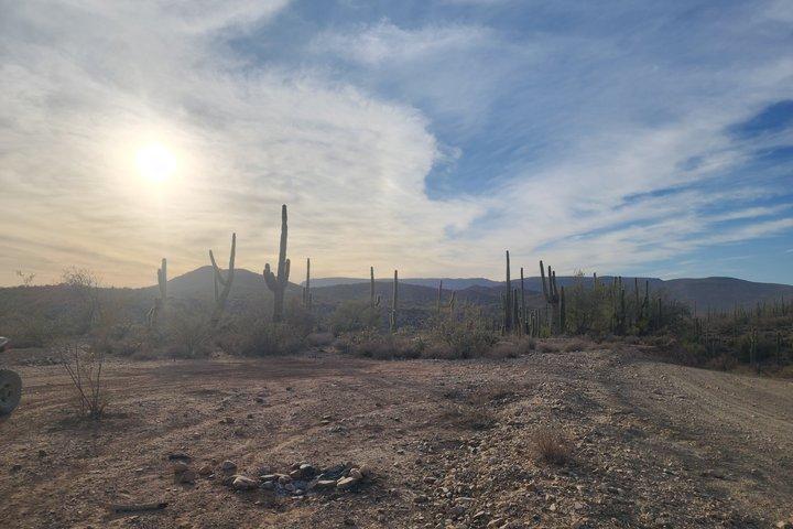 Daytime Off-Road Tour in the Sonoran Desert