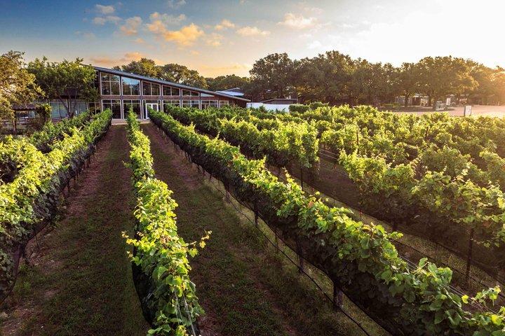 North Texas Black Restaurants & Winery AdvenTOUR