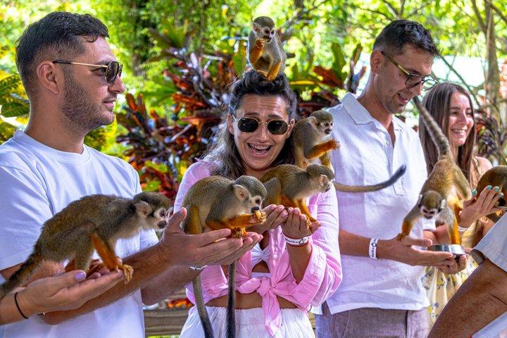 Monkeyland Puerto Plata
