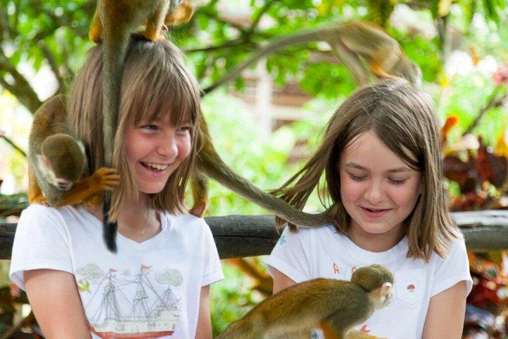 Jungle Buggies and Monkeyland from Punta Cana