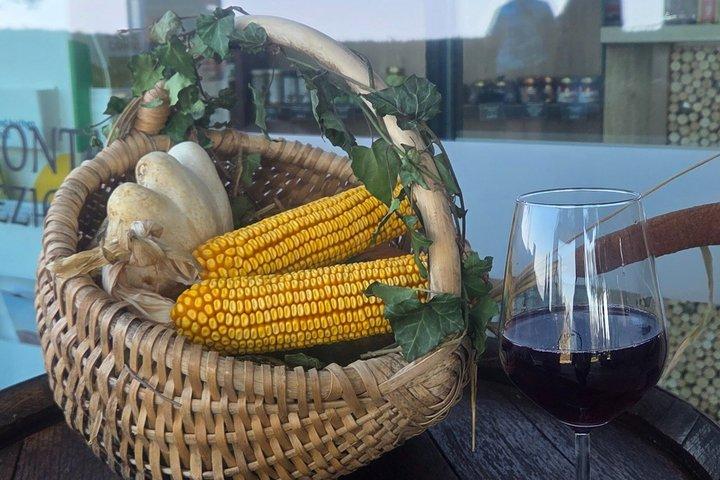 Experience Slovenian Coast line with Wine Tasting from Trieste