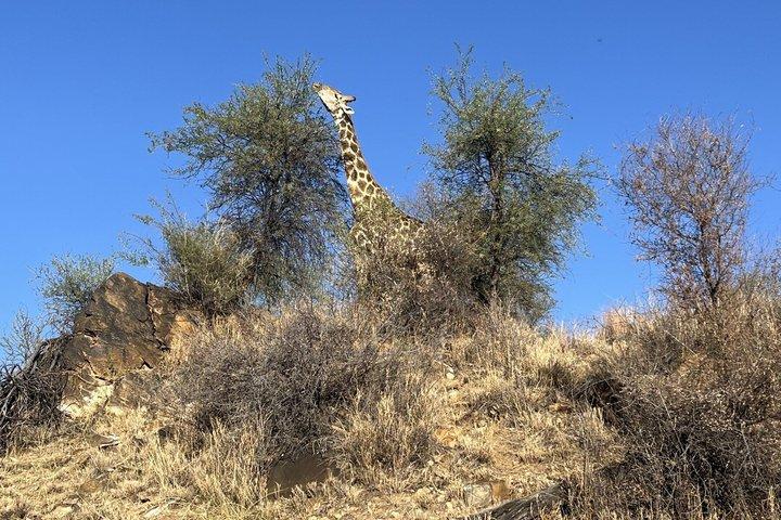 Windhoek Guided Hike and Walking Safari
