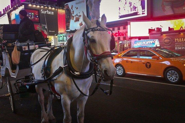 ニューヨーク市 クリスマスライト VIPツアー