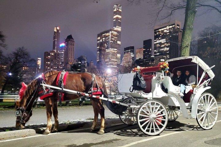 ニューヨーク市 クリスマスライト VIPツアー