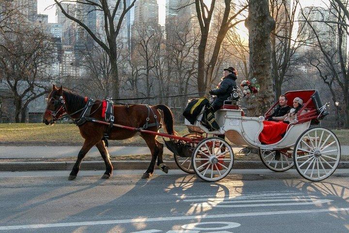 ニューヨーク市 クリスマスライト VIPツアー
