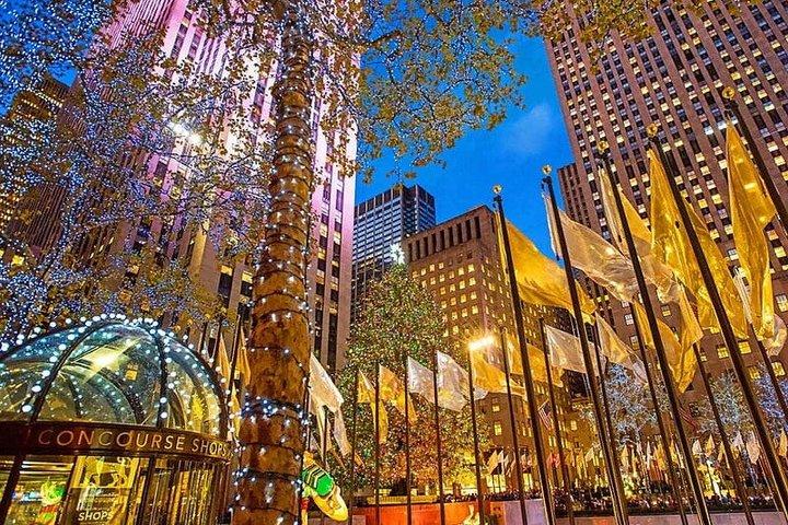 ニューヨーク市 クリスマスライト VIPツアー