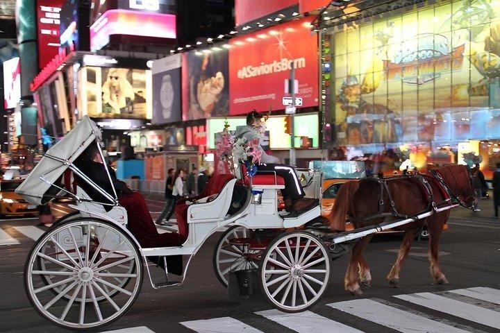 ニューヨーク市 クリスマスライト VIPツアー