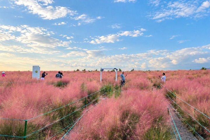 済州東部要塞-城山一喆峰(ユネスコ)&海燕