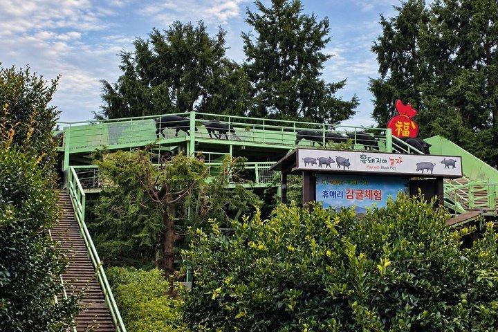 済州東部要塞-城山一喆峰(ユネスコ)&海燕