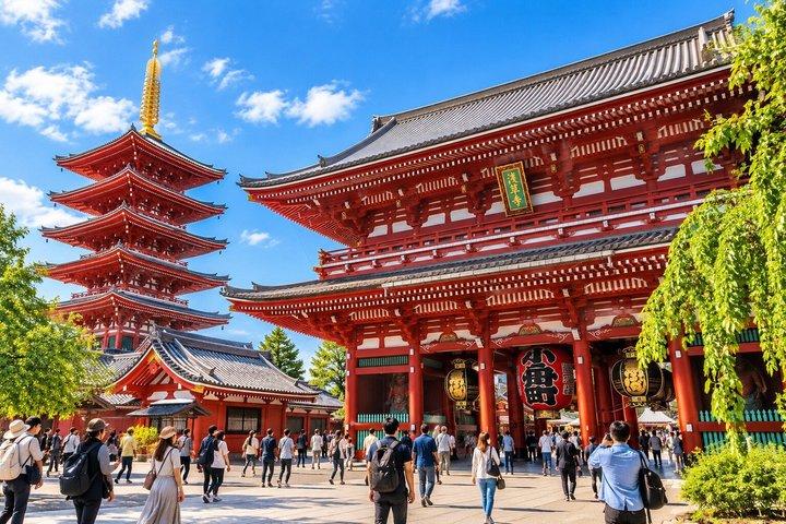東京:浅草&金武醤油工場+川越 1日バスツアー