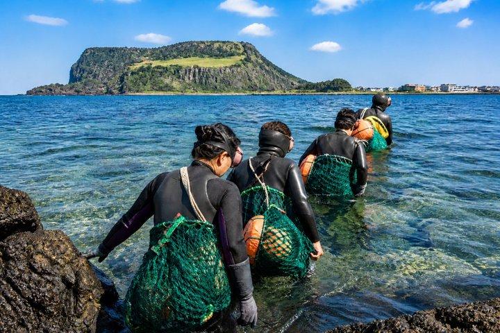 Best Jeju 2Days Tour: UNESCO & Must-See (East&SouthWest)