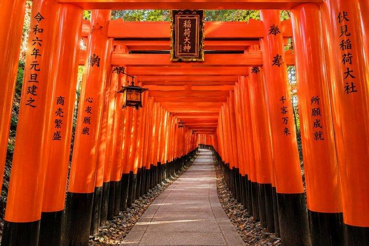 京都観光 : 「 名古屋のフォトジェニックなスポット3選」ランチ付き