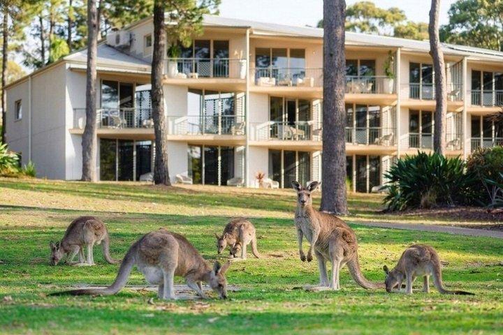 ブリスベン発 ゴールドコースト野生動物＆ウォーターウェイプライベートツアー