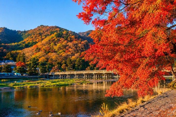 京都観光 : 「 名古屋のフォトジェニックなスポット3選」ランチ付き