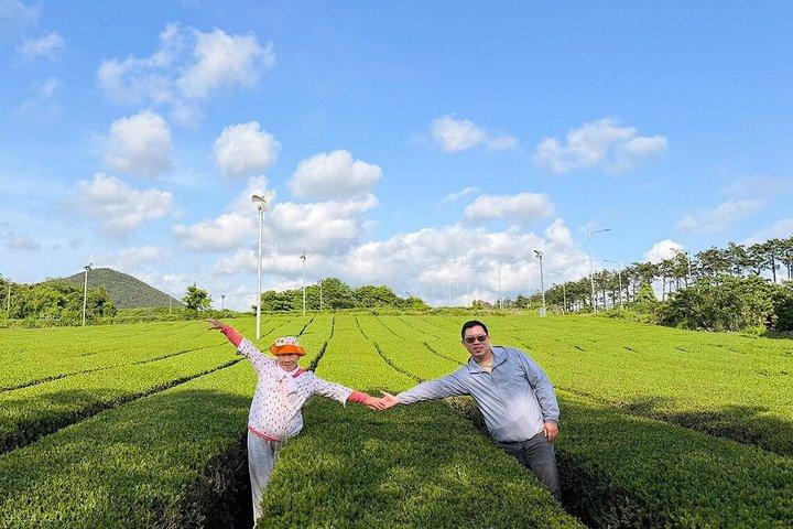 済州西南海女体験＆漢拏山ユネスコツアー