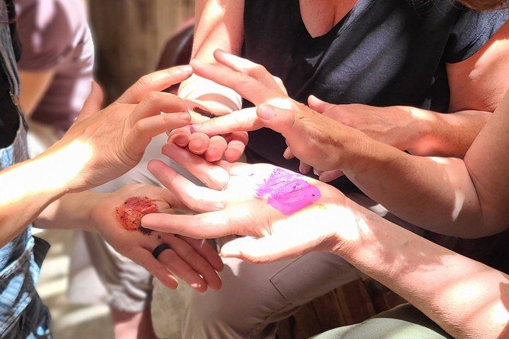 Hands-on Weaving Experience with Natural Dyes in Oaxaca