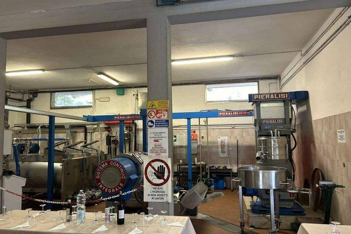 オリーブ畑ツアーとワインおよび地元産品の試飲