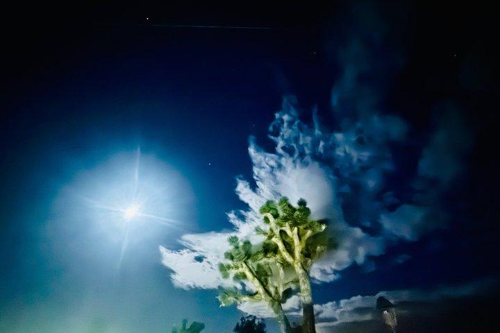 Explore the Bohemian vibe in Joshua Tree
