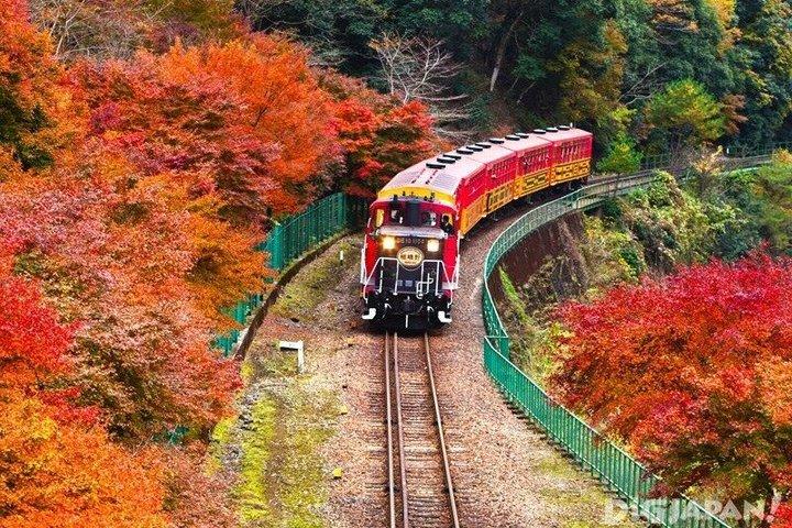 トロッコ乗車券