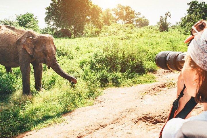 スリランカ文化と野生動物の逃避行 6日間