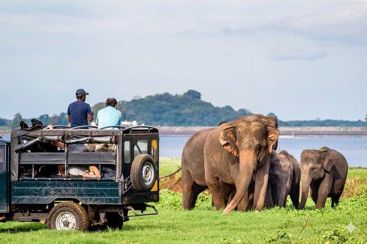 スリランカ文化と野生動物の逃避行 6日間