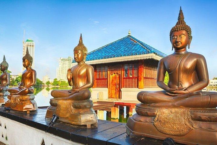 スリランカ文化と野生動物の逃避行 6日間