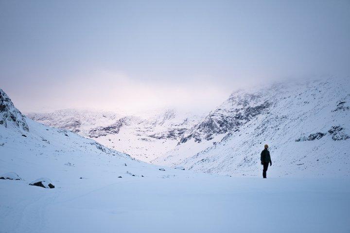 Arctic Wilderness Snowshoe Expedition
