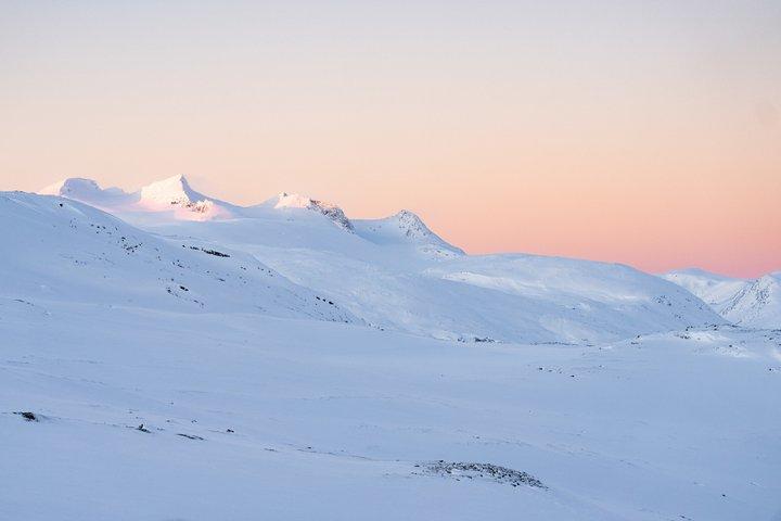 Arctic Wilderness Snowshoe Expedition