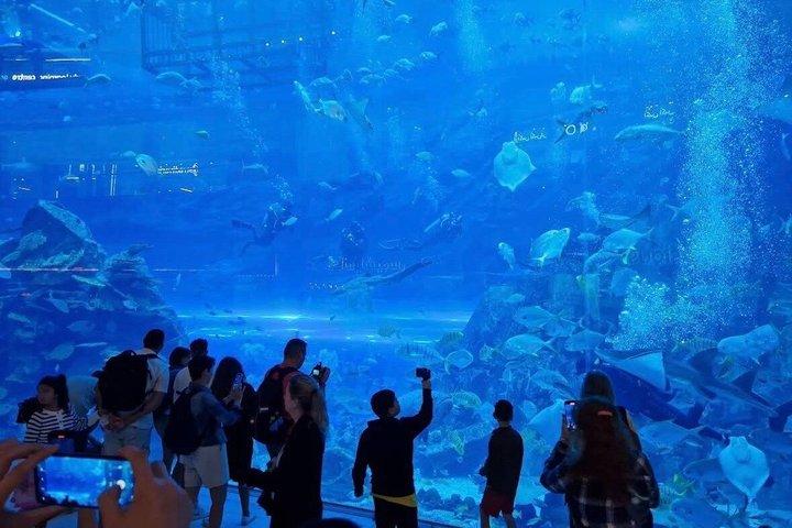 ドバイ水族館＆アンダーウォーターズー 全アクセス入場券