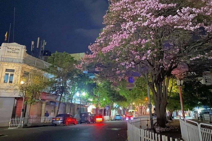 オールインクルーシブ カンディの夜のトゥクトゥク料理とアーユルヴェーダ