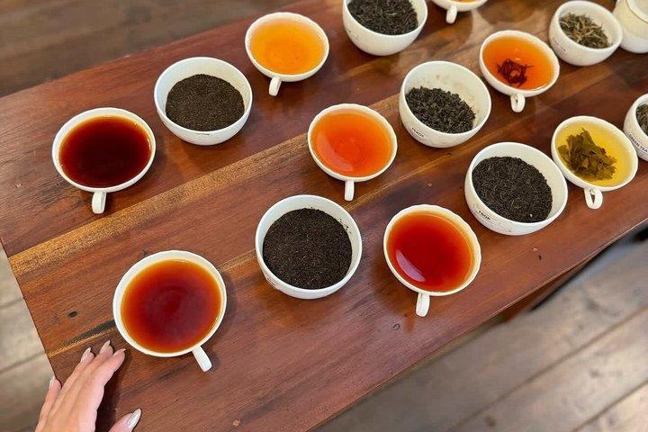 オールインクルーシブ カンディの夜のトゥクトゥク料理とアーユルヴェーダ