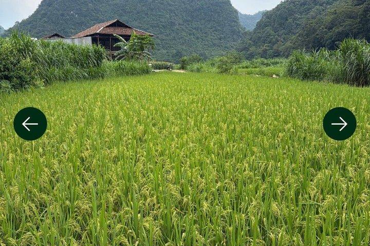 Cao Bang Adventure Tour 2D1N（ドライバー付き）