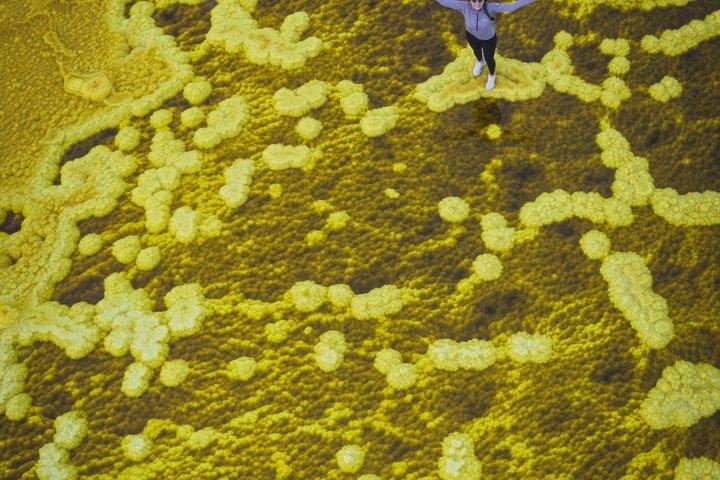 3 Days Guided Tour Throughout Danakil Depression in a Small Group