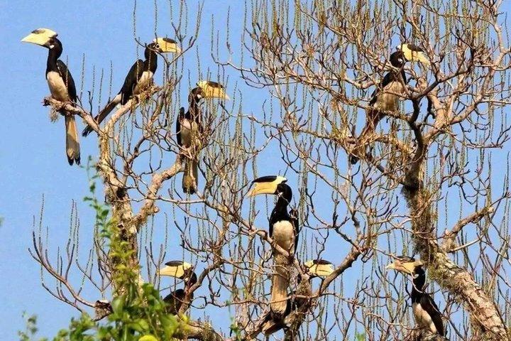 ミリッサからウェリガマ、エラ、ウダワラウェサファリへのプライベート送迎