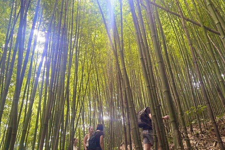 Hmong Highlands Trail in Sapa
