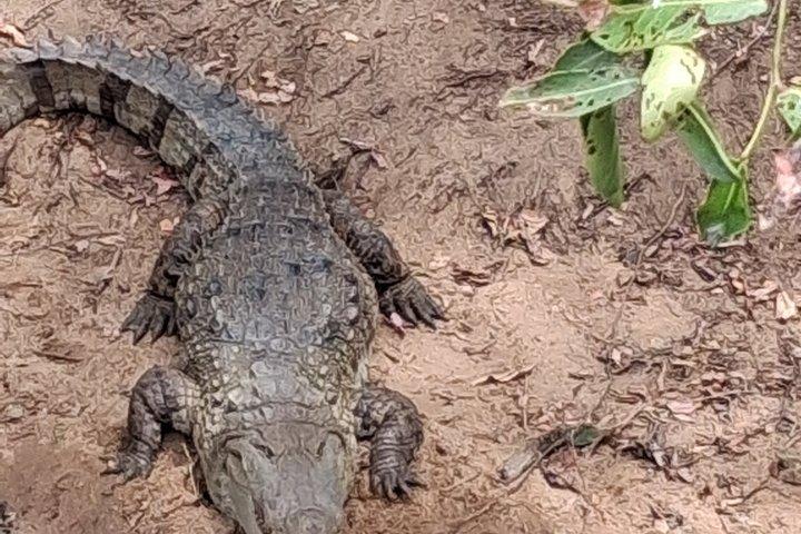 ミリッサからウェリガマ、エラ、ウダワラウェサファリへのプライベート送迎